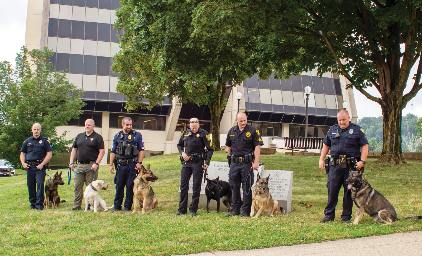 07-03-25-K-9-Tags-1-tle.jpg
